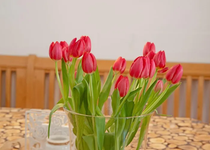 Almrausch Ferienwohnung